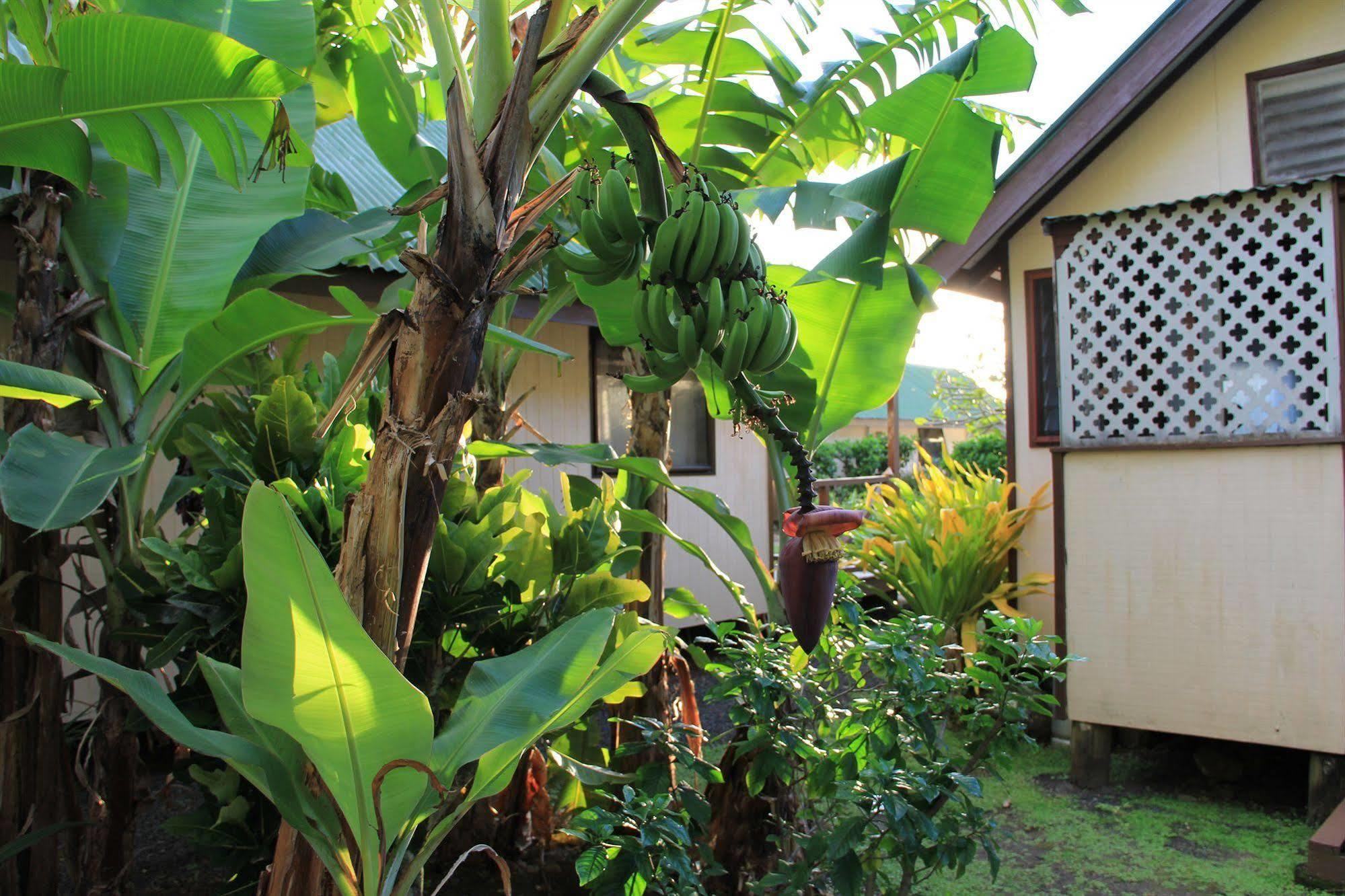 Aroko Bungalows Villa Avarua Bagian luar foto